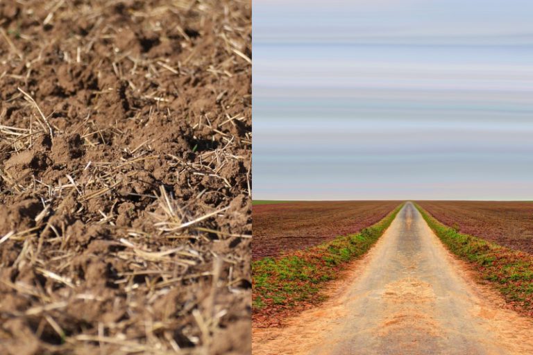 Georgia House Approves Human Composting Bill, Sends Legislation to Governor Kemp for Final Approval