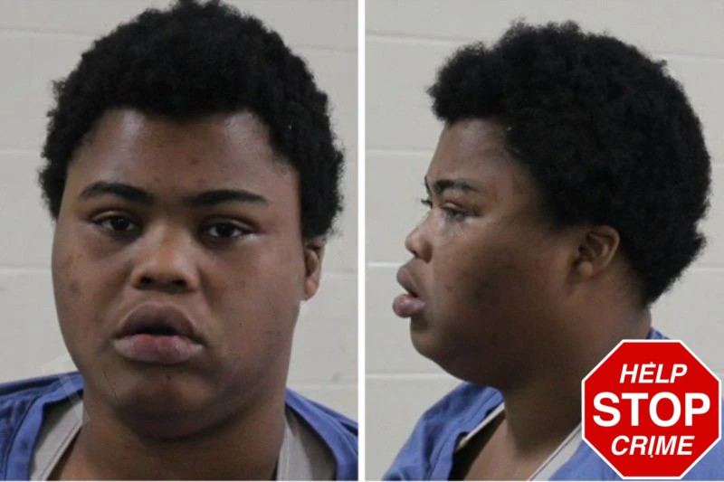 A’Keelah Burney Mugshots