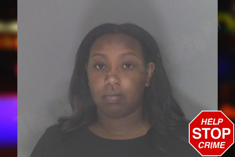 Aaliyah Timmons Mugshots