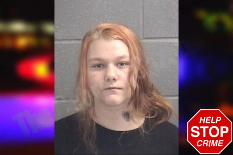 Abagale Yearta mugshot – Spalding County , Georgia Abagale Yearta