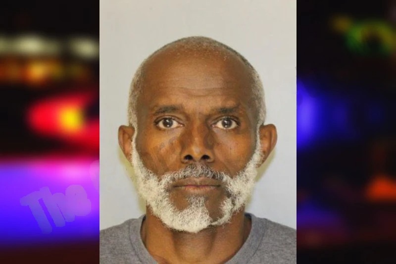 Abiy Woldetsadik mugshot – Hall County , Georgia Abiy Woldetsadik mugshot