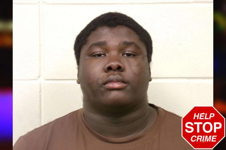 Adebowale Adesida mugshot – Bulloch County , Georgia Adebowale Adesida