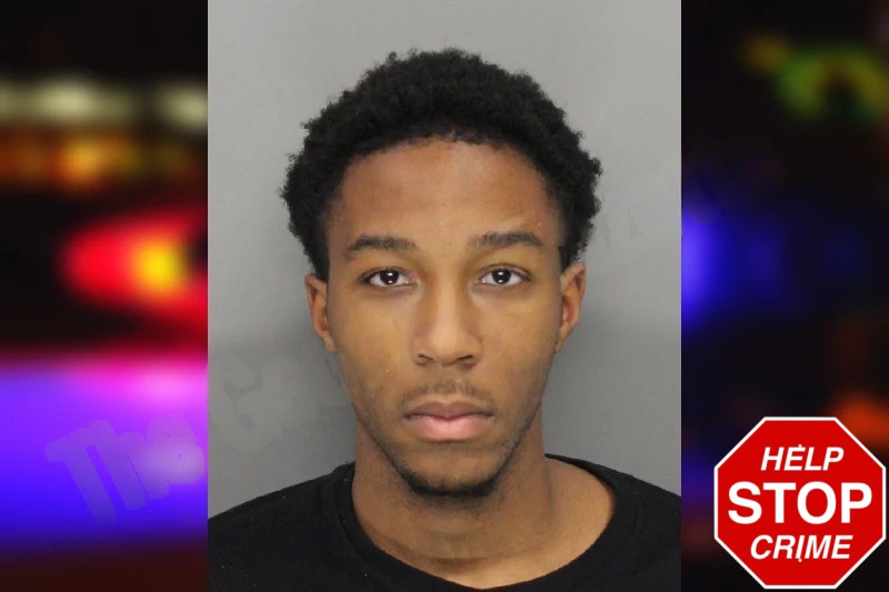 Adedoyin Adele Mugshots