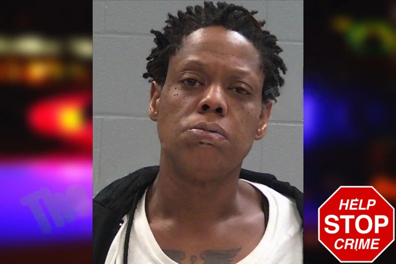 Adrienne King Mugshots