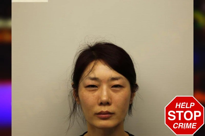 Ae Myeong Park Mugshots