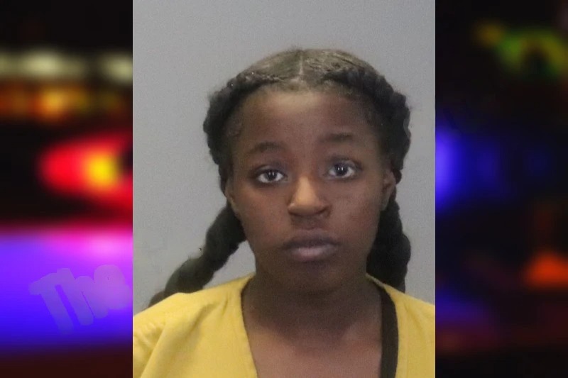 Aerionna Shipman Mugshots