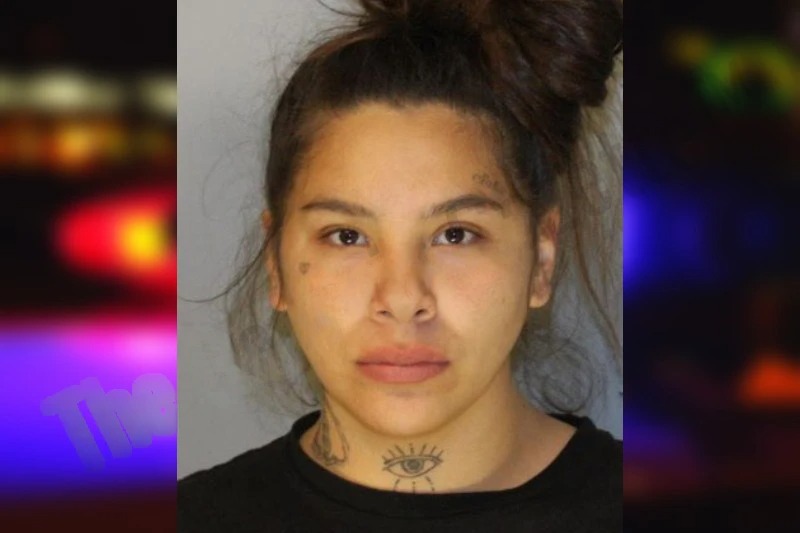 Agnes Haugland Mugshots