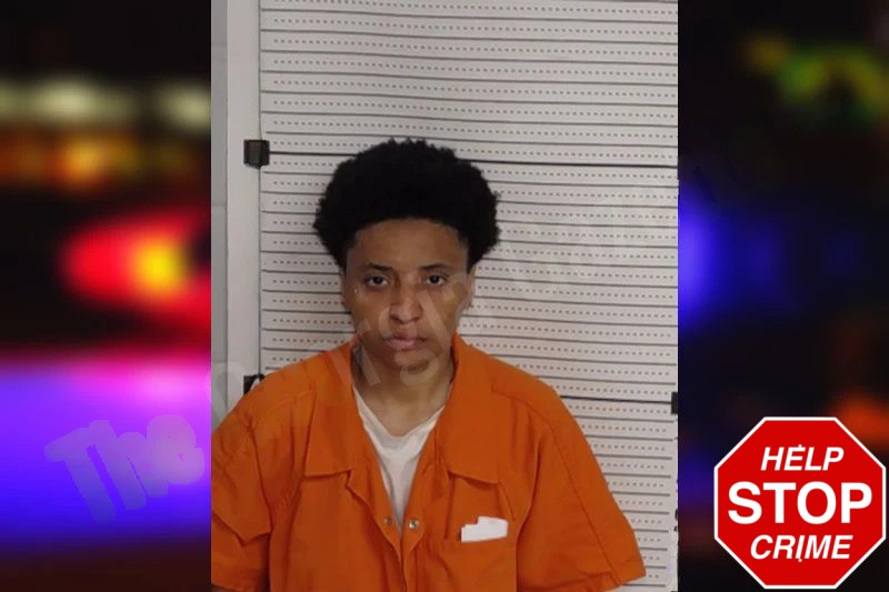 Aijhanae Riddick Mugshots