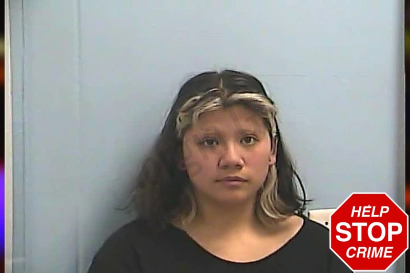 Aileen Gonzalez Mugshots