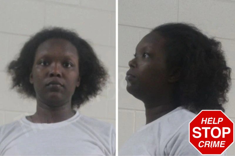 Aja Johnson Mugshots