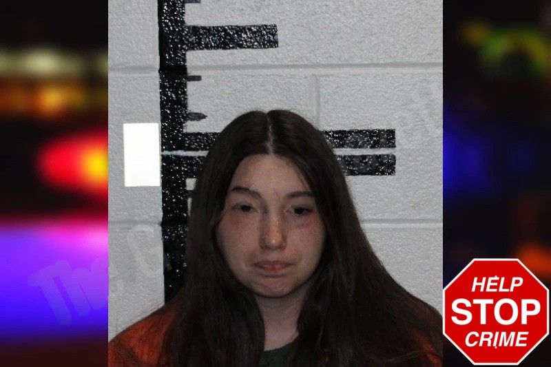 Aleea Collins Mugshots