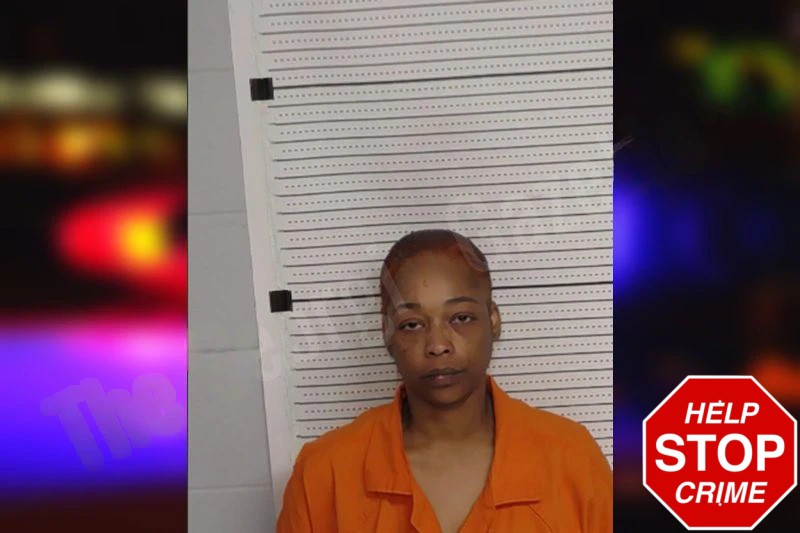 Alexander Ehiorobo Mugshots