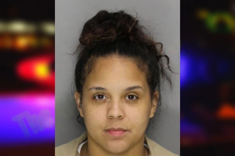 Alexia Rios mugshot – Cobb County , Georgia Alexia Rios mugshot