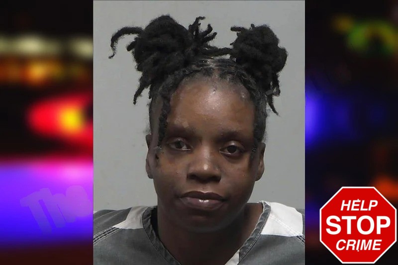 Alexis Davis Mugshots