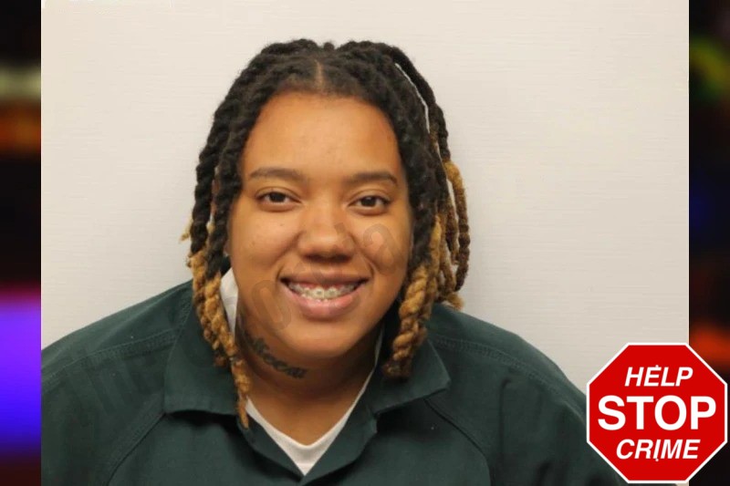 Alexis Hollins Mugshots