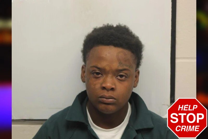 Alexis Johnson Mugshots