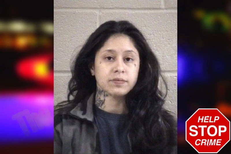 Alexis Quiroz Mugshots