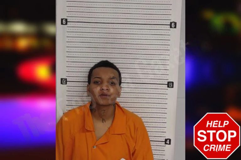 Alexus Robinson mugshot – Rockdale County , Georgia Alexus Robinson