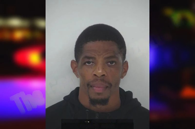 Ali Jenkins Mugshots