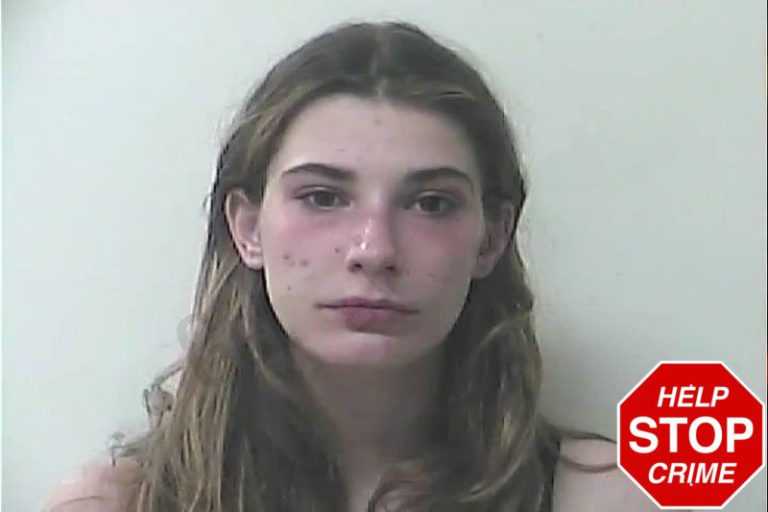Alice Reno mugshot – Oconee County , Georgia Alice Reno