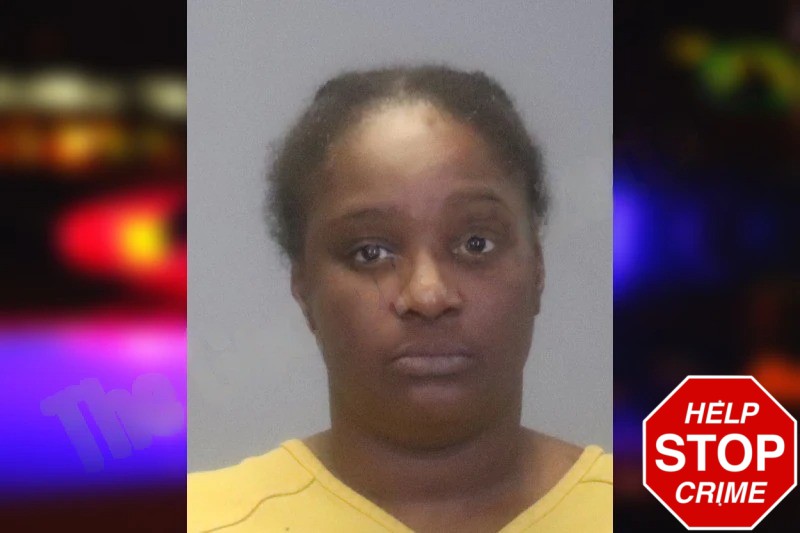 Alicia Turner Mugshots