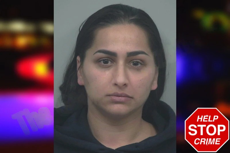 Alina Ciurar mugshot