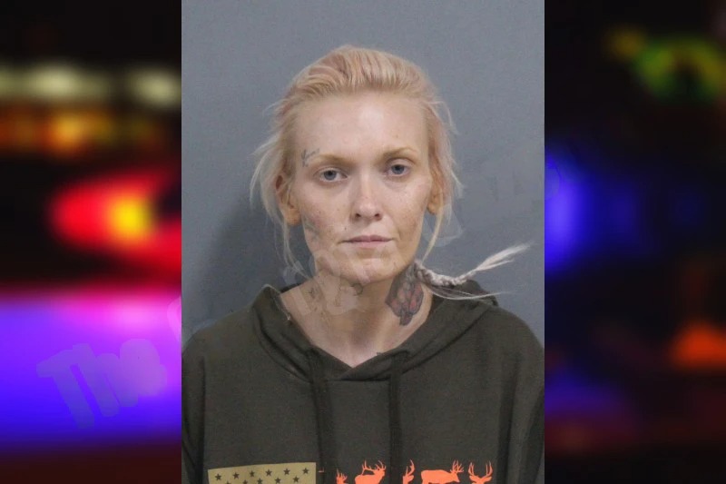 Alina Kazantseva Mugshots