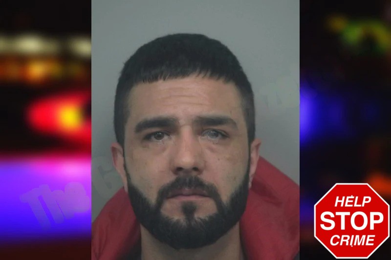 Alireza Motlagh Mugshots