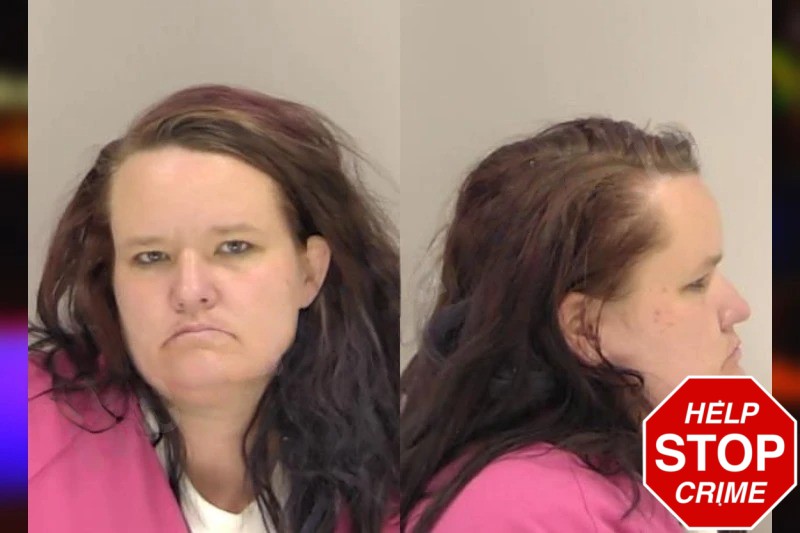 Alissa Johns Mugshots