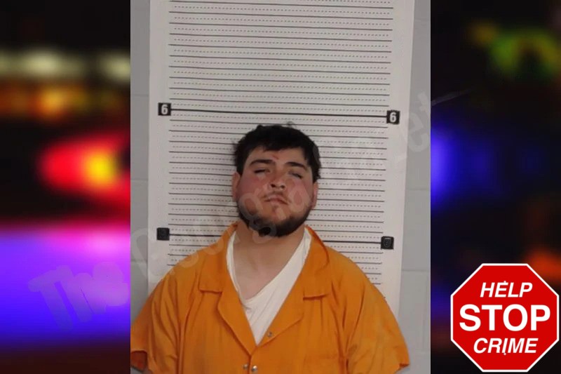 Aljandro Alvarez Mugshots