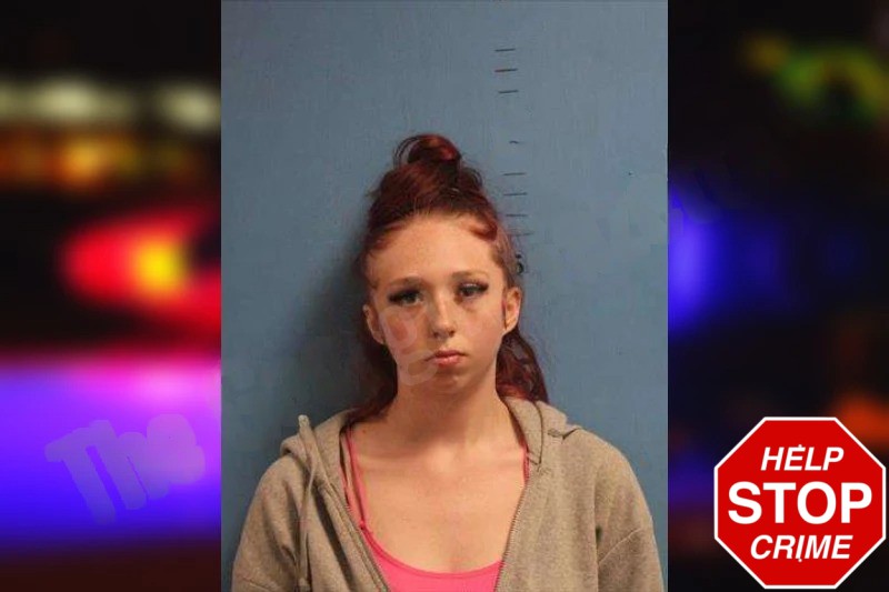 Alley Sargent Mugshots