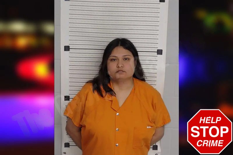 Allison Gallegos Mugshots