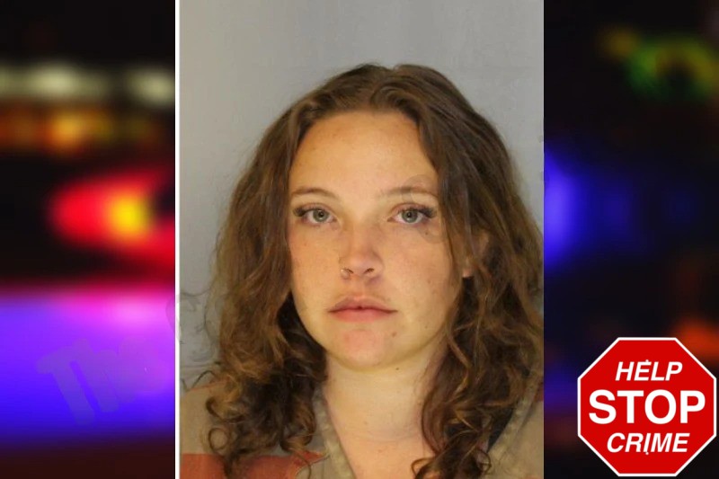 Allison Kelley mugshot – Hall County , Georgia Allison Kelley mugshot