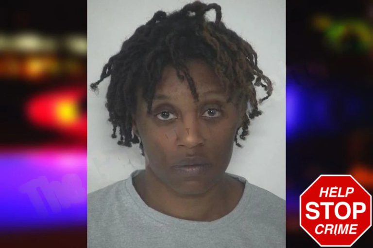 Allison Scott mugshot – Fayette County , Georgia Allison Scott