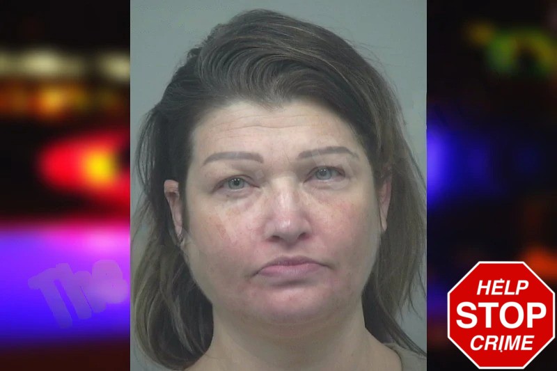 Allison Suda Mugshots