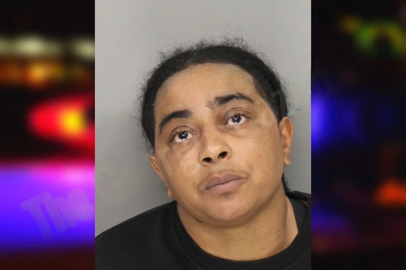 Allysia Stevens Mugshots