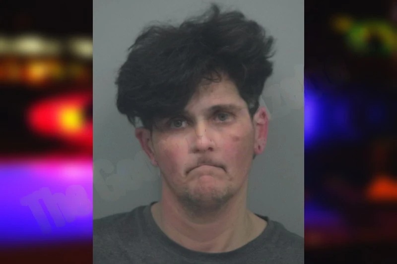 Alysha Lovelady mugshot – Gwinnett County , Georgia Alysha Lovelady mugshot