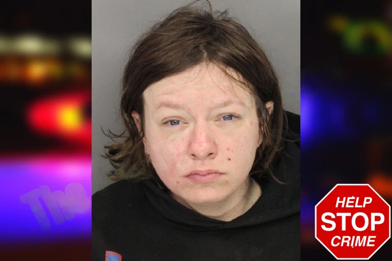 Alyssa Clingan Mugshots