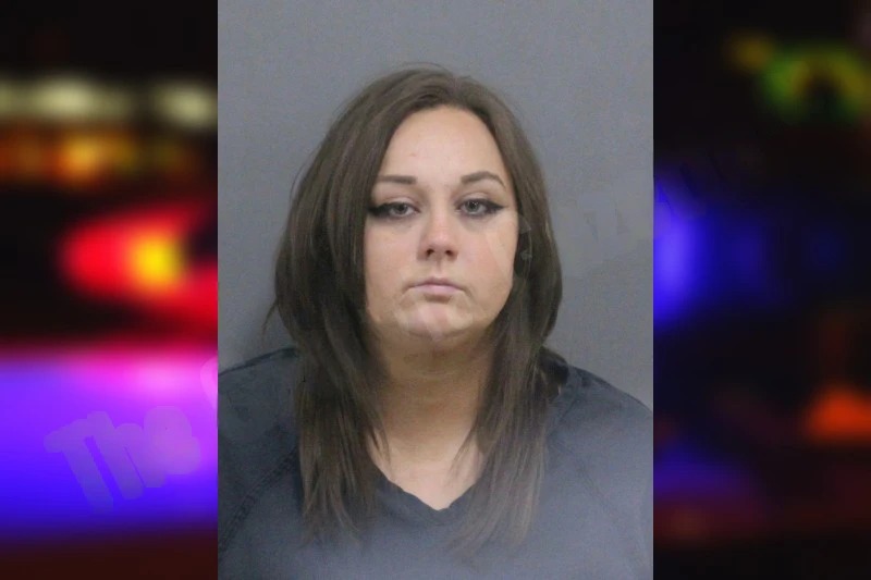 Alyssa Johnson Mugshots