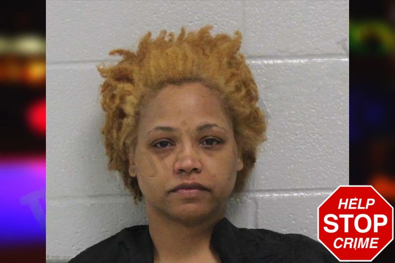 Alyssa Johnson Mugshots