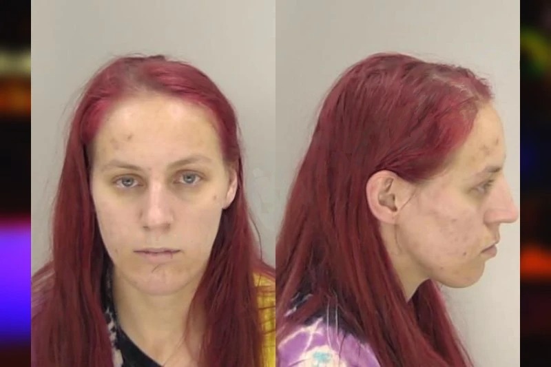 Alyssa McGovern Mugshots