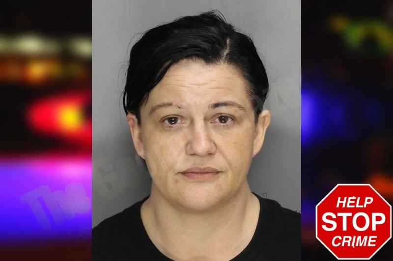 Amanda Cole Mugshots