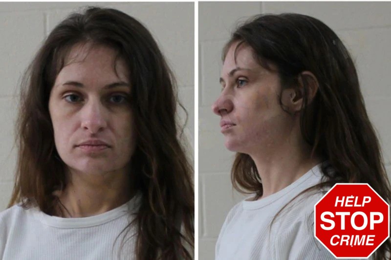 Amanda Collins Mugshots