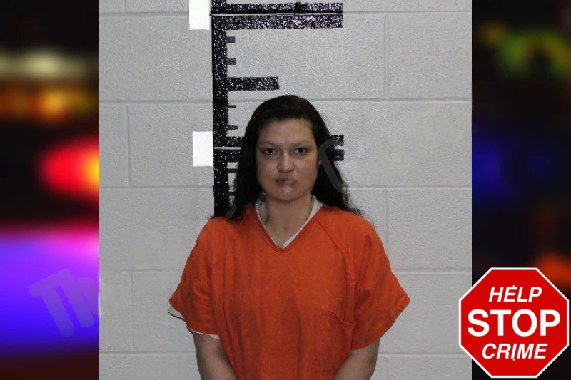 Amanda Conner Mugshots