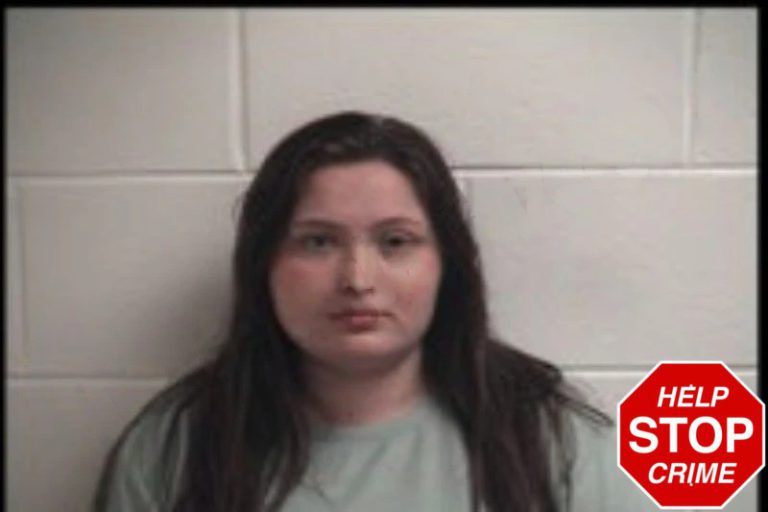 Amanda Cullinane mugshot – Henry County , Georgia Amanda Cullinane
