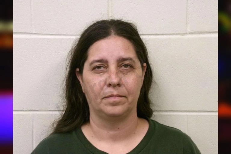 Amanda Helmken mugshot – Bulloch County , Georgia Amanda Helmken