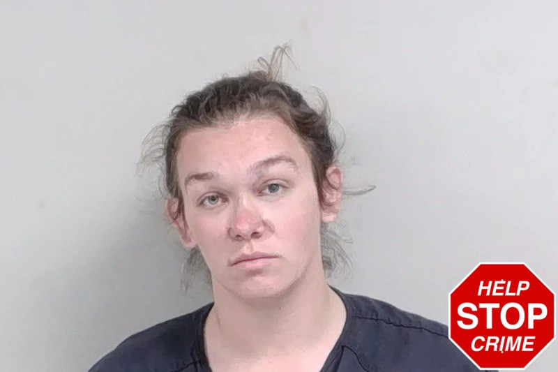 Amanda Holley Mugshots