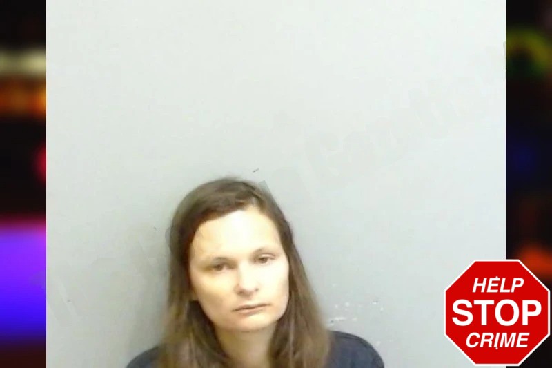 Amanda Johnston Mugshots