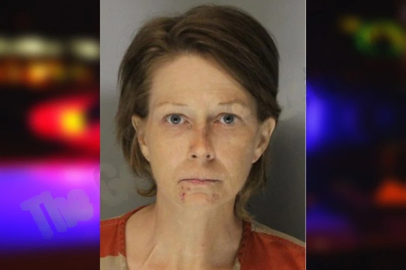 Amanda McManus Mugshots