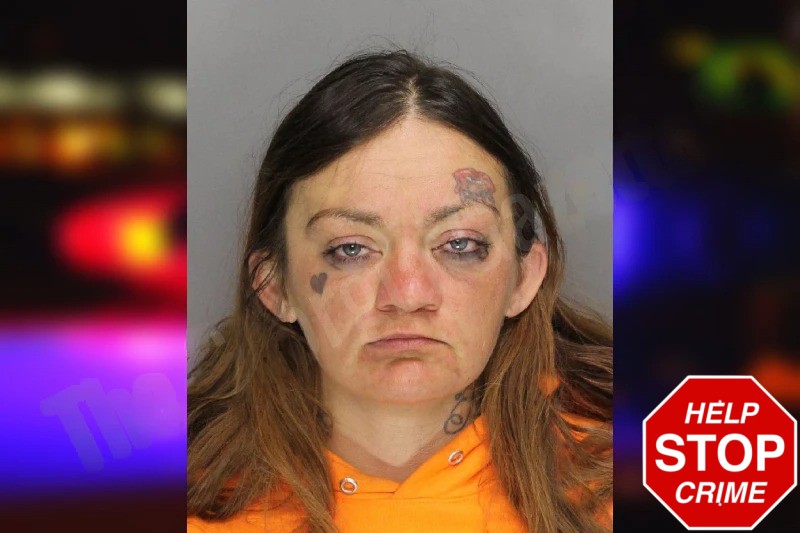 Amanda Pierce mugshot – Cobb County , Georgia Amanda Pierce mugshot